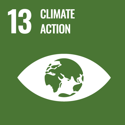 13 CLIMATE ACTION