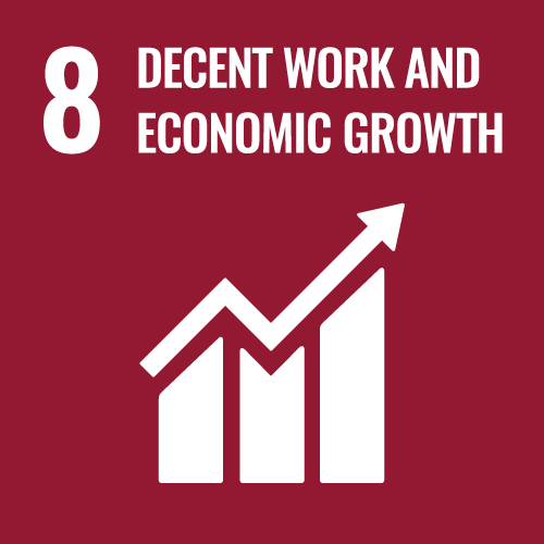 8 DECENT WORK AND ECONOMIC GROWTH