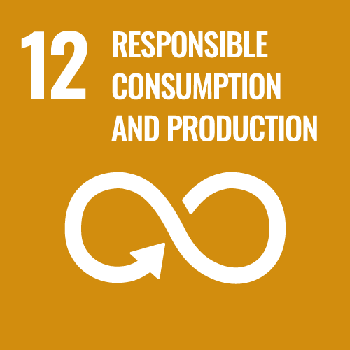 12 RESPONSIBLE CONSUMPTION AND PRODUCTION