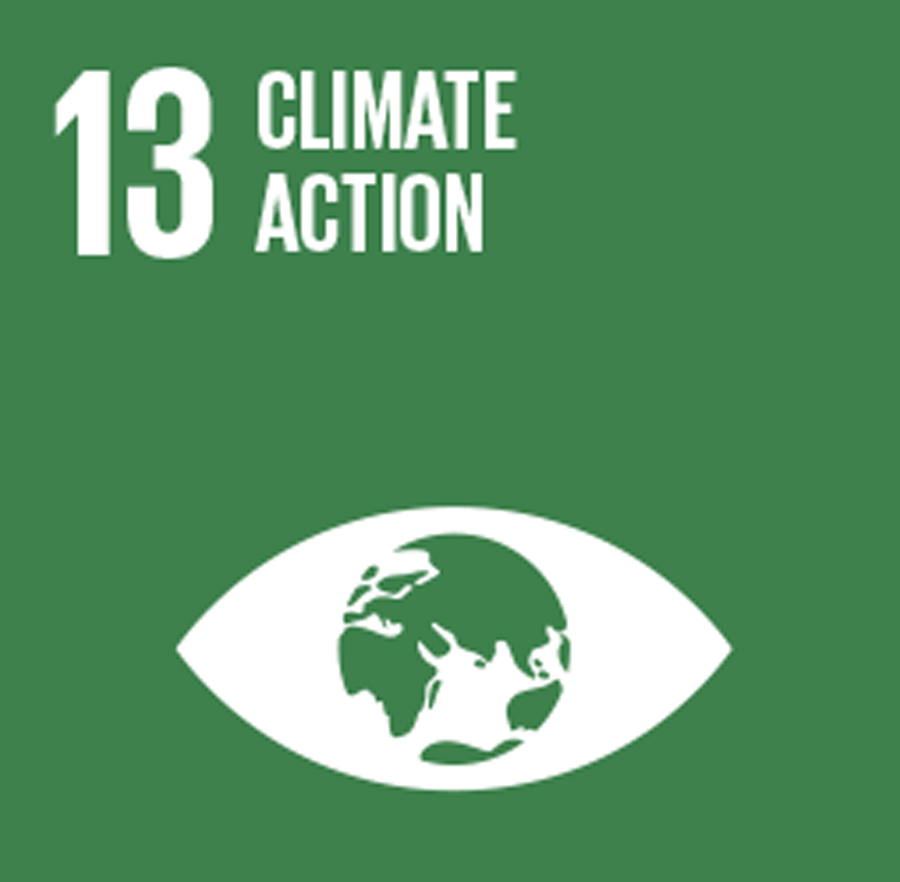 13 CLIMATE ACTION