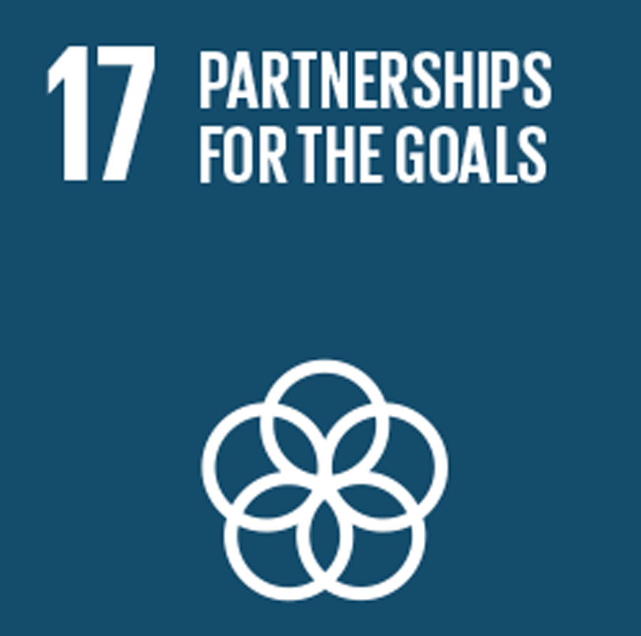 17 PARTNERSHIPS FPR THE GOALS