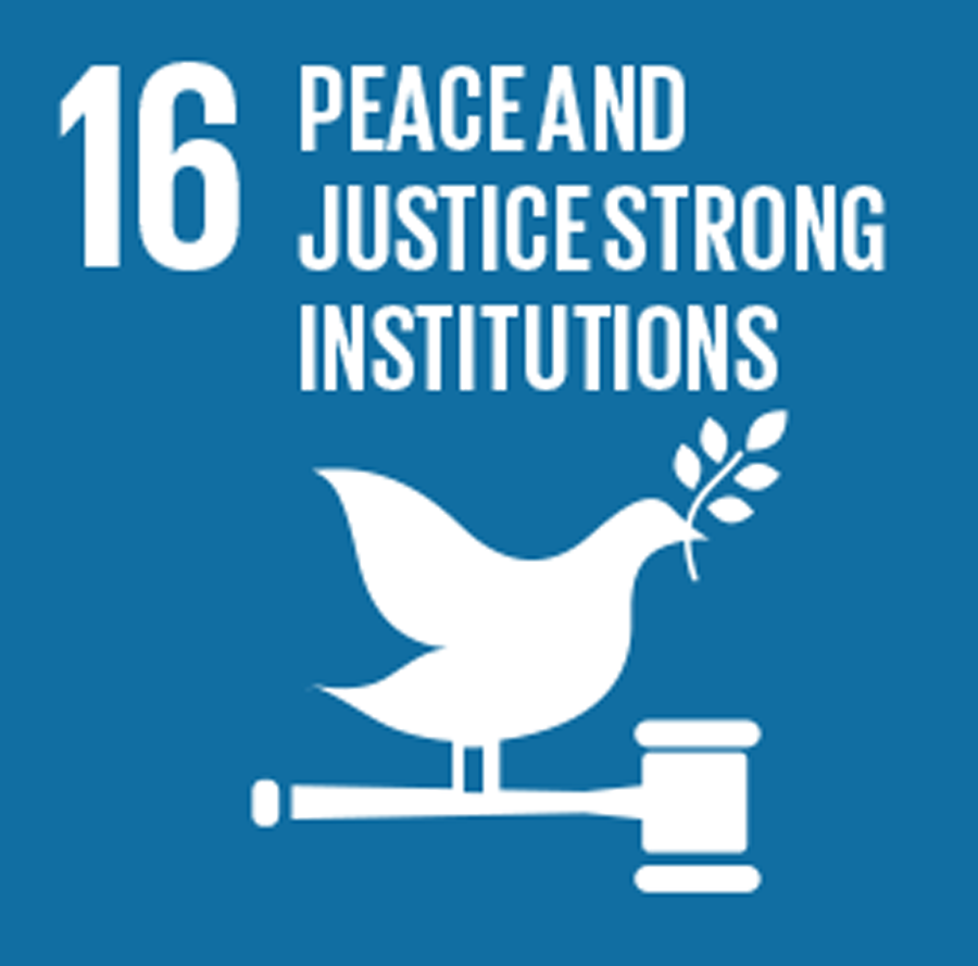 16 PEACE , JUSTICE AND STRONG INSTITUTIONS