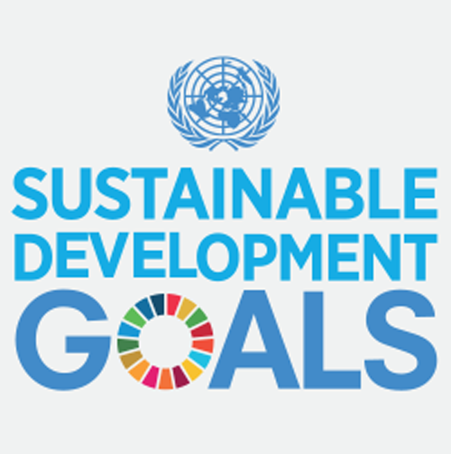 SUSTAINABLE DEVELOPMENT GOALS 