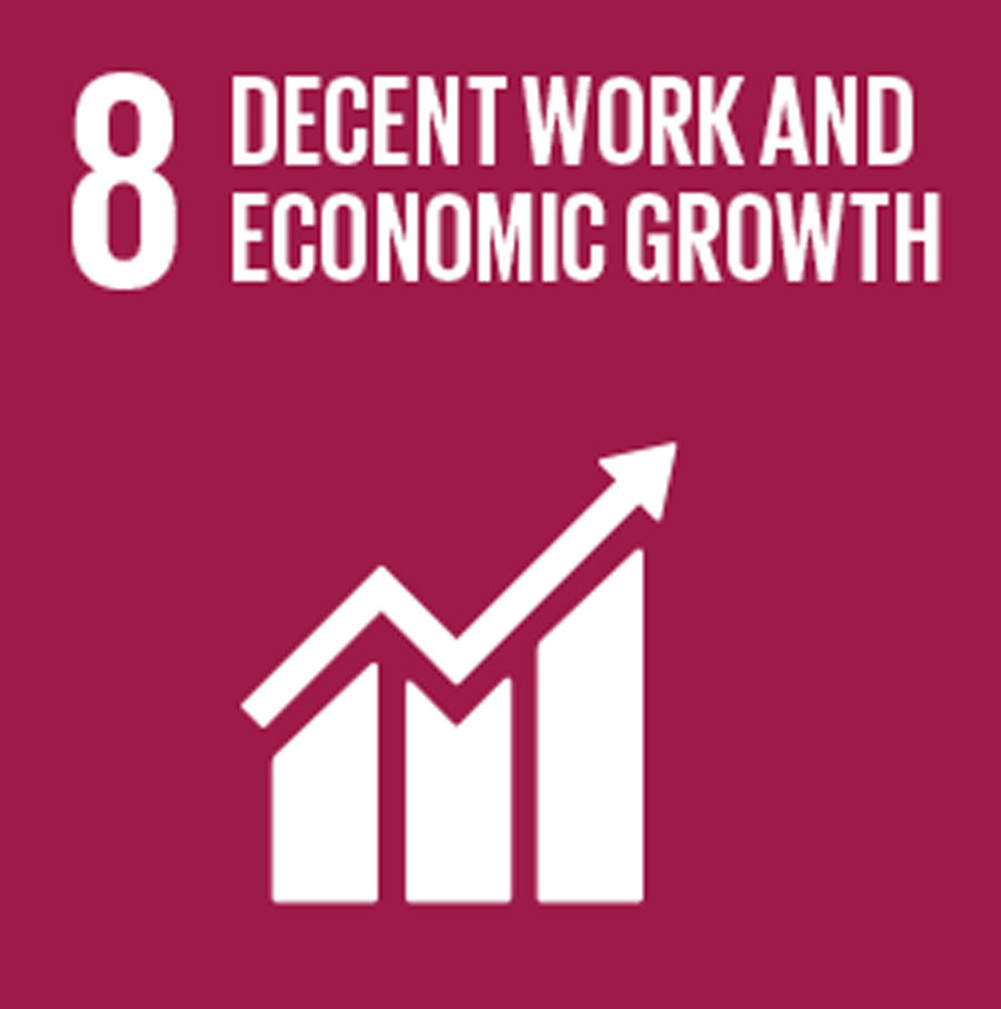 8 DECENT WORK AND ECONOMIC GROWTH