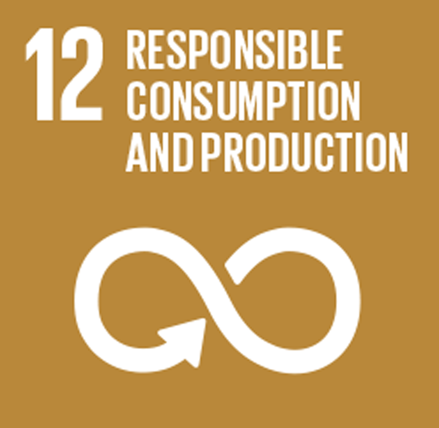 12 RESPONSIBLE CONSUMPTION AND PRODUCTION