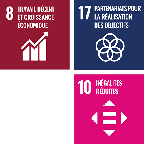 travail d&eacute;cent et croissance &eacute;conomique ; partenariats pour la r&eacute;alisation des objectifs ; in&eacute;galit&eacute;s r&eacute;duites