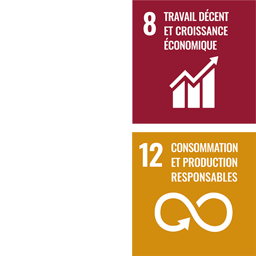 travail d&eacute;cent et croissance &eacute;conomique ; consommation et production responsables