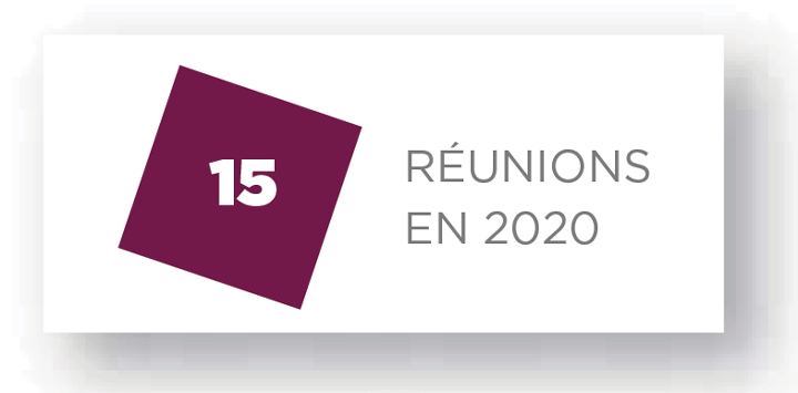 15 réunions en 2020