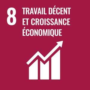 8. travail décent et croissance économique