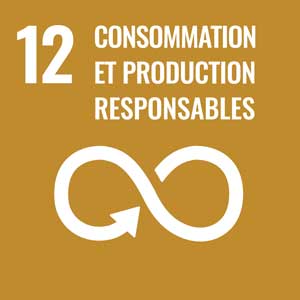 12. consommation et production responsable