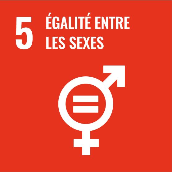 &eacute;galit&eacute; entre les sexes