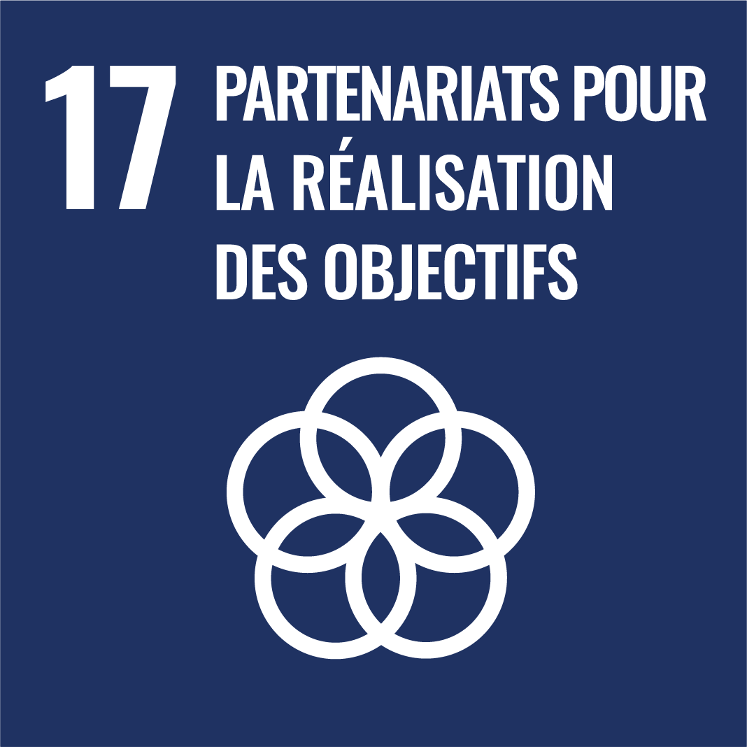 17. Partenariats pour la r&eacute;alisation des objectifs